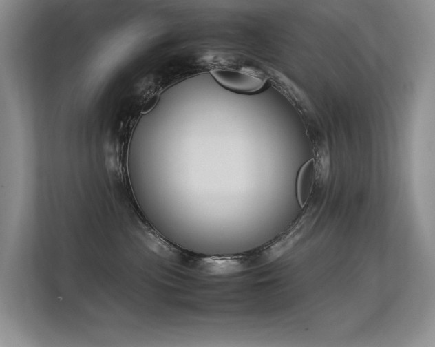 X0000113350477200909151157