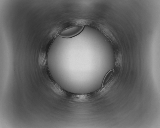 X0000113350478200909151157