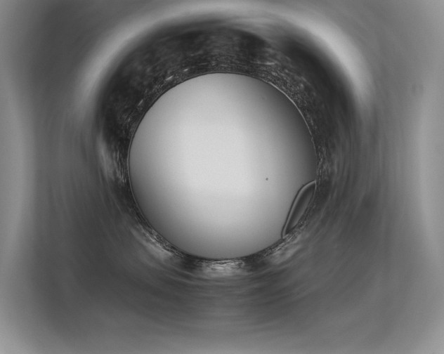 X0000113350479200909151157