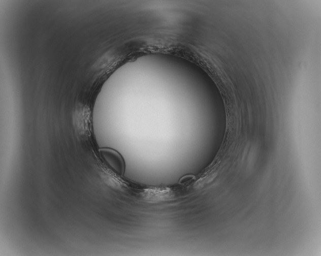 X0000113350480200909151157