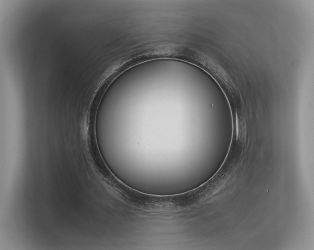 X0000113350483200909151156