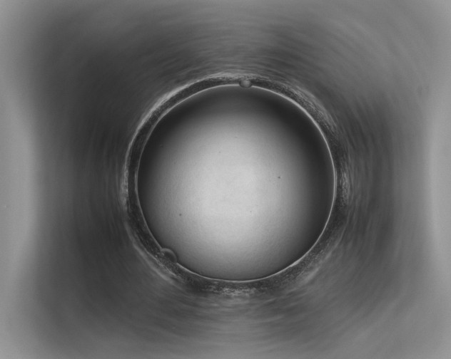 X0000113350484200909151156