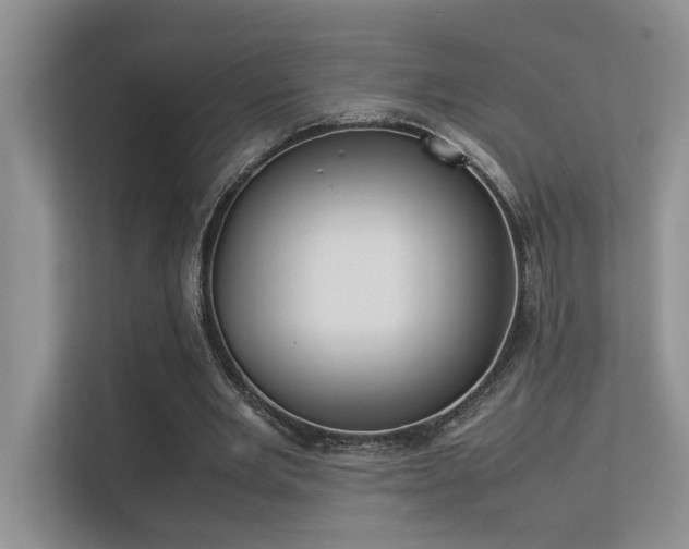 X0000113350485200909151156