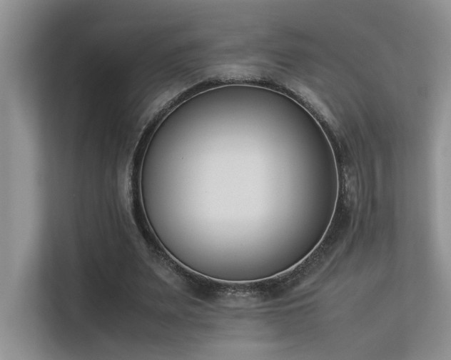 X0000113350487200909151156