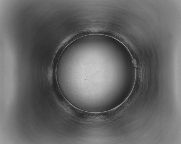 X0000113350488200909151156