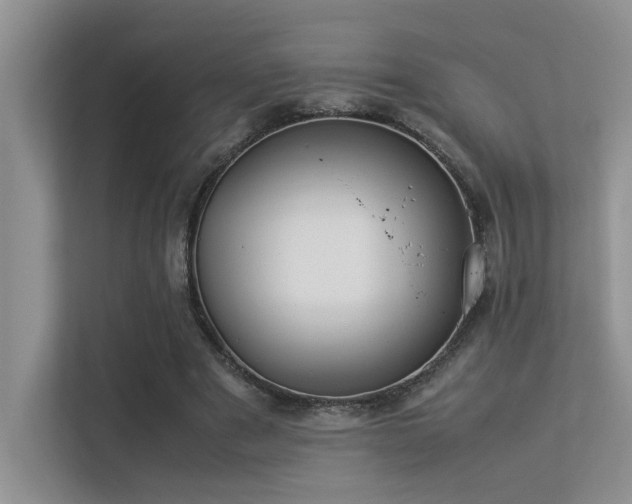 X0000113350489200909151156