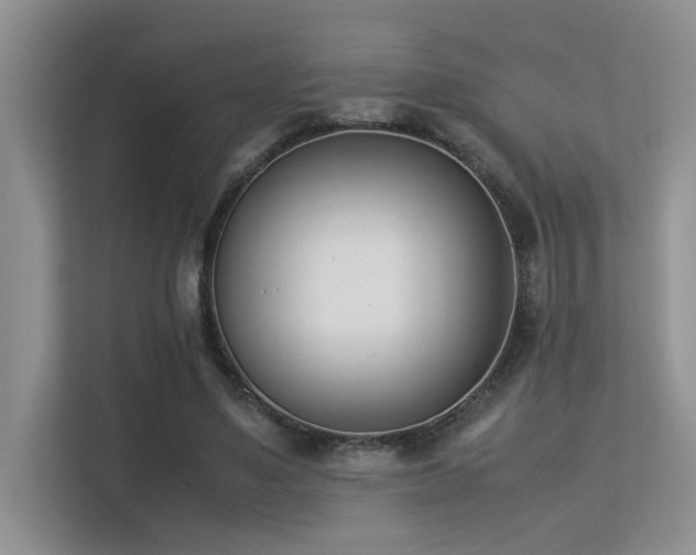 X0000113350491200909151156