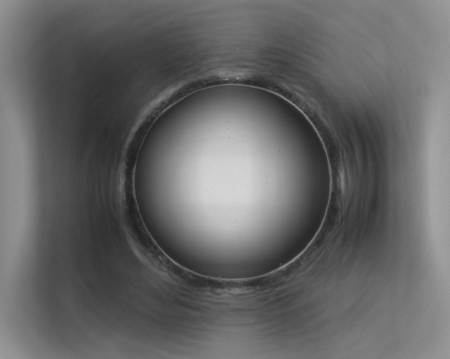 X0000113350492200909151156