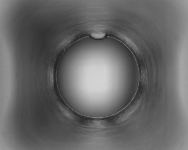 X0000113350493200909151156