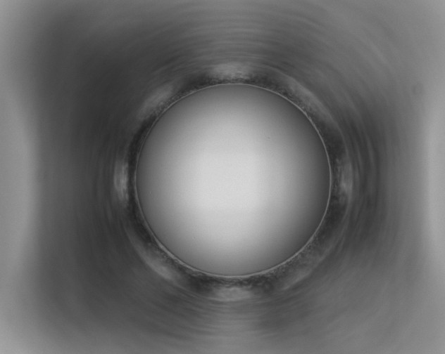 X0000113350494200909151156