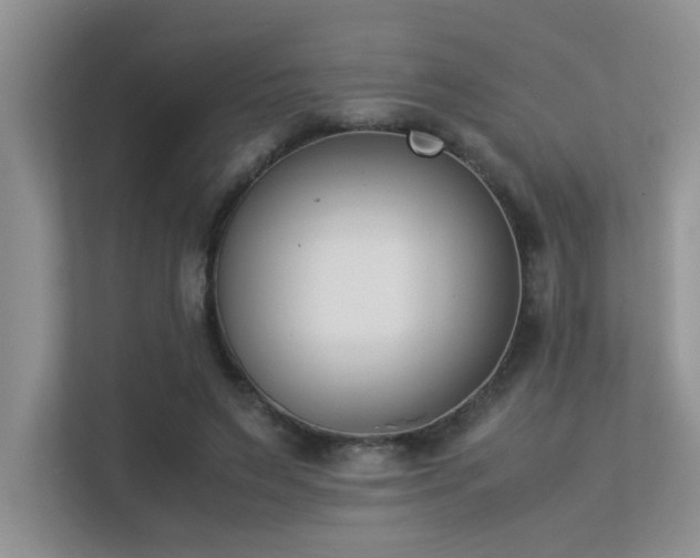 X0000113350495200909151156