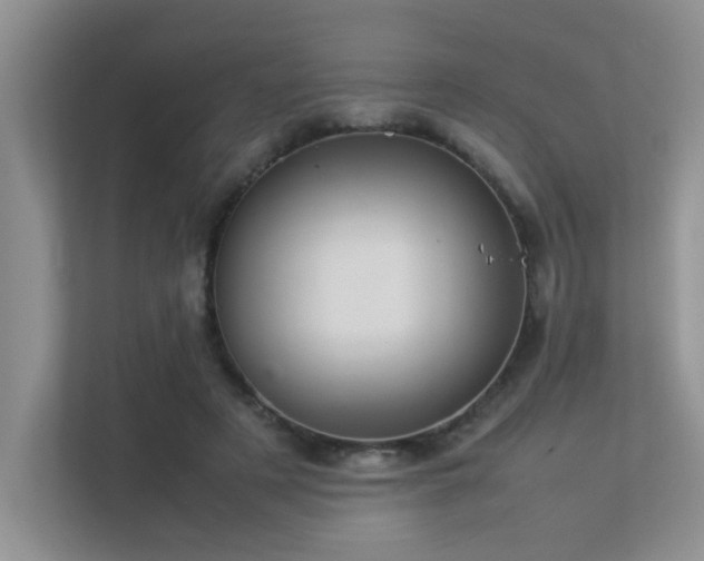 X0000113350497200909151156
