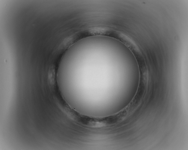 X0000113350498200909151156