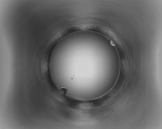 X0000113350499200909151156