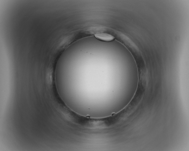 X0000113350501200909151156