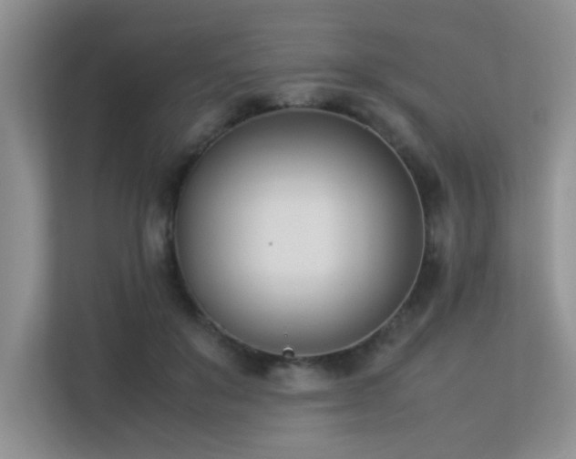 X0000113350503200909151156