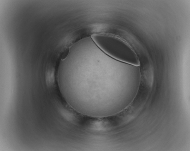 X0000113350504200909151156