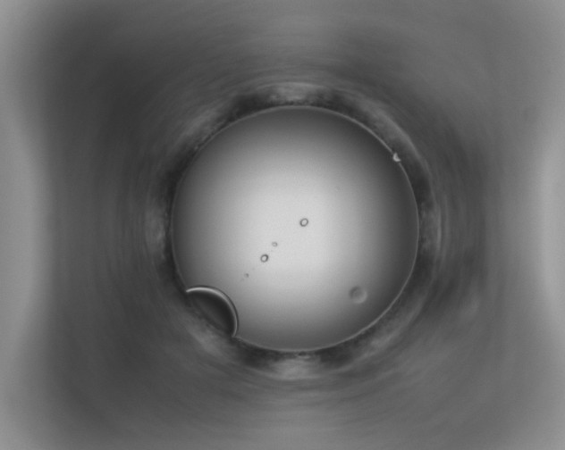 X0000113350505200909151156