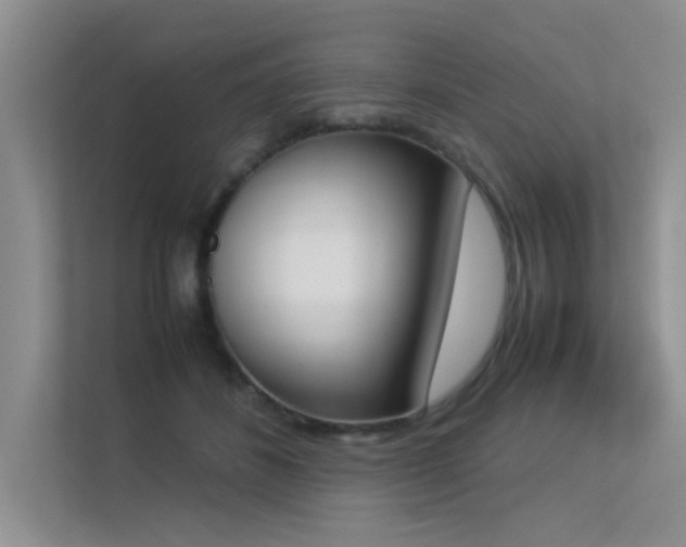 X0000113350508200909151156