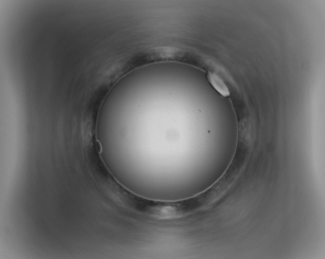 X0000113350509200909151156
