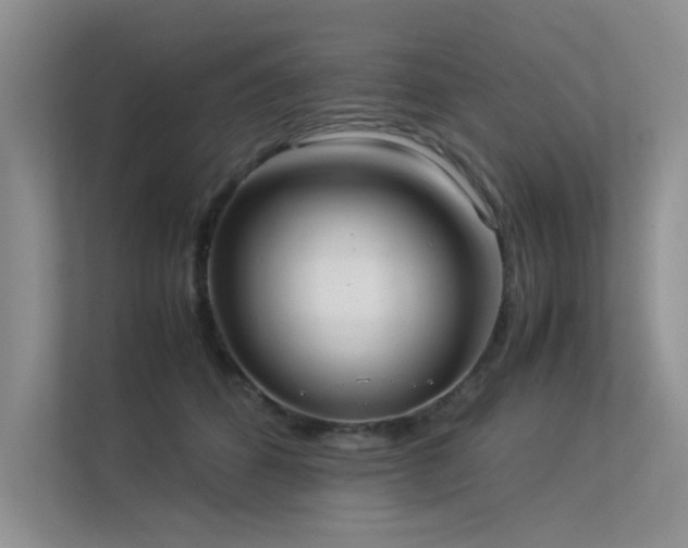X0000113350512200909151156
