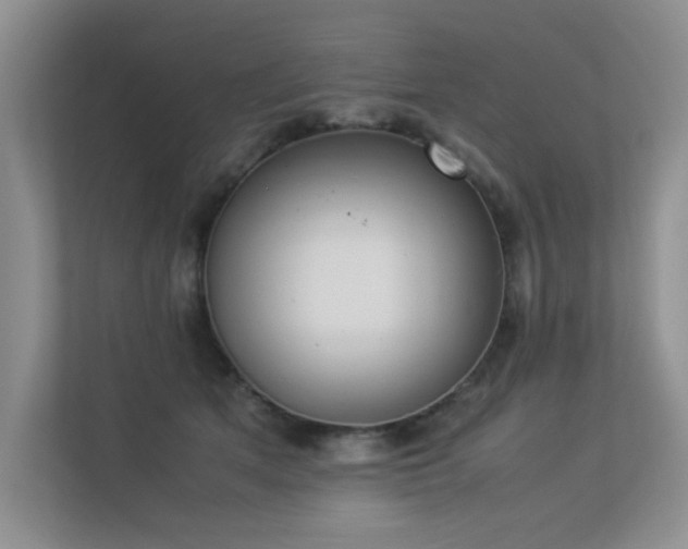X0000113350513200909151156