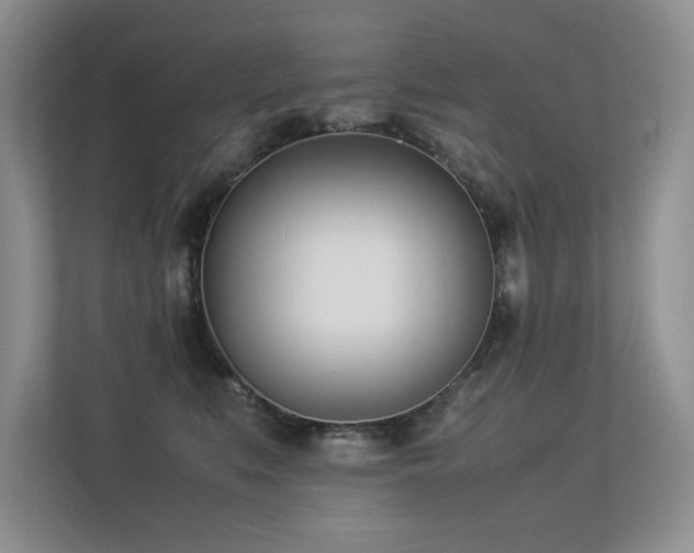 X0000113350519200909151156