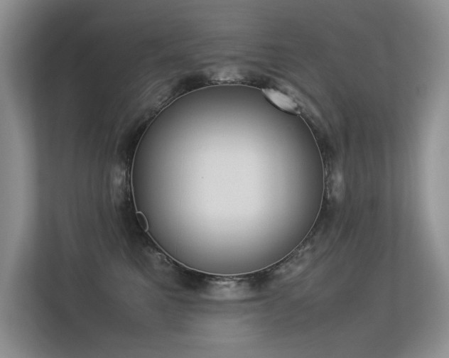 X0000113350521200909151156