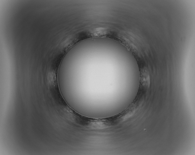 X0000113350523200909151156