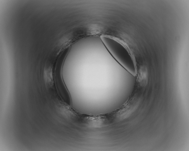 X0000113350524200909151156