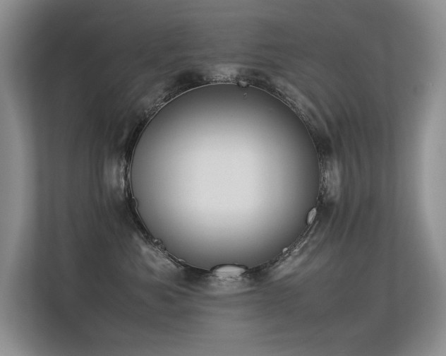X0000113350525200909151156