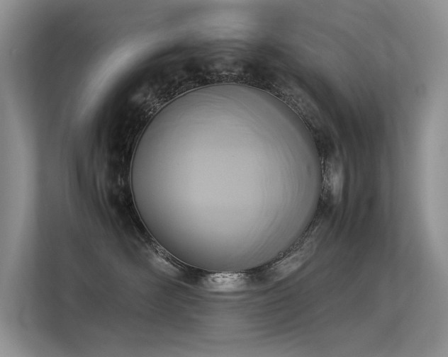 X0000113350526200909151156