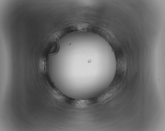 X0000113350527200909151156