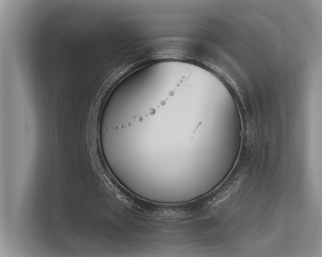 X0000113350529200909151155