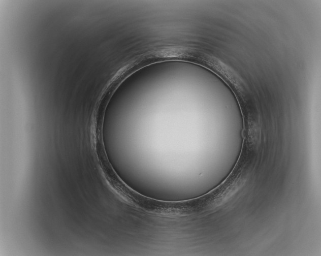 X0000113350530200909151155