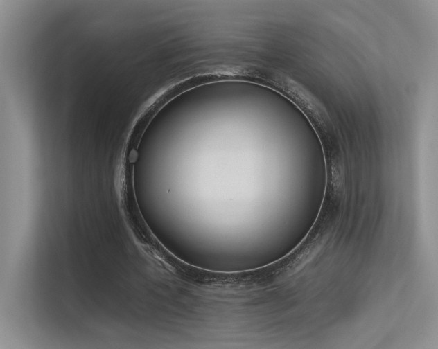 X0000113350532200909151155