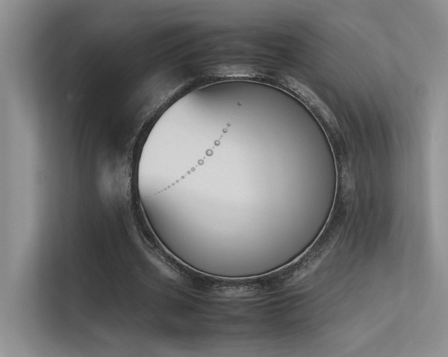 X0000113350533200909151155