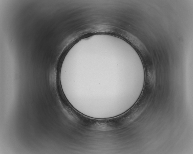 X0000113350534200909151155