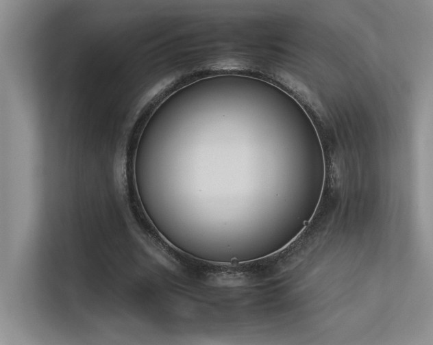 X0000113350535200909151155