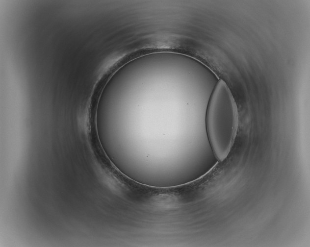 X0000113350536200909151155