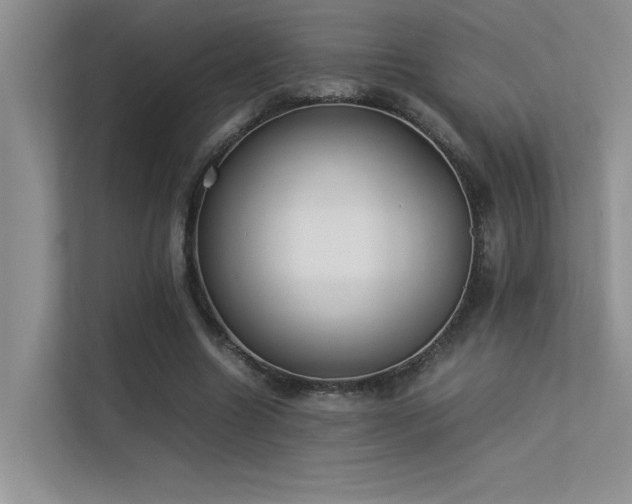 X0000113350538200909151155