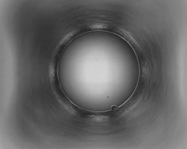 X0000113350539200909151155