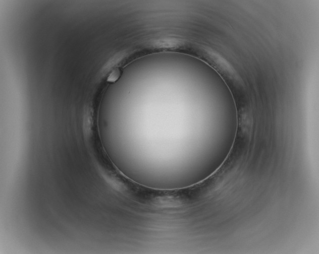 X0000113350544200909151155
