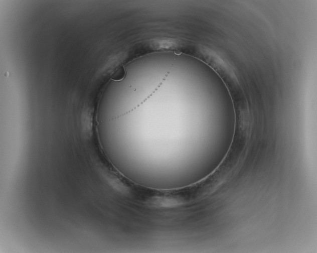 X0000113350545200909151155