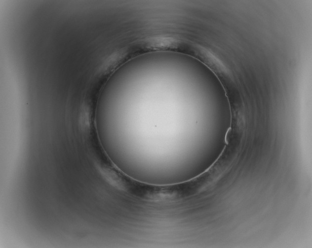 X0000113350546200909151155
