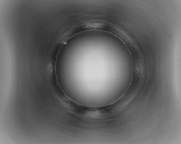 X0000113350551200909151155