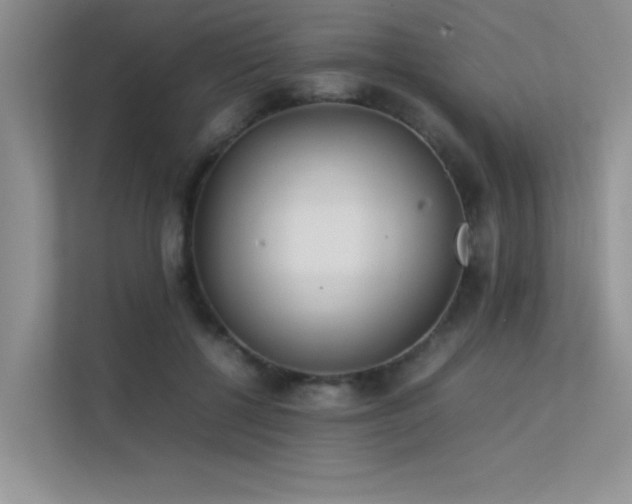 X0000113350552200909151155