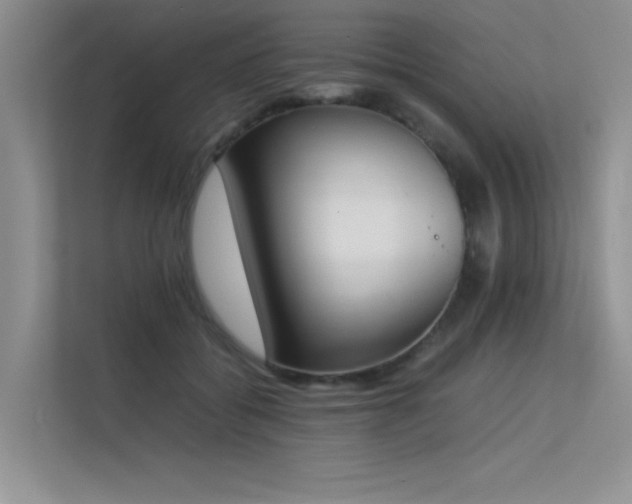 X0000113350556200909151156