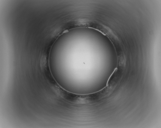 X0000113350560200909151156