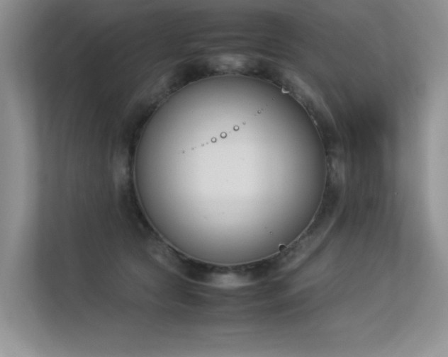 X0000113350561200909151156